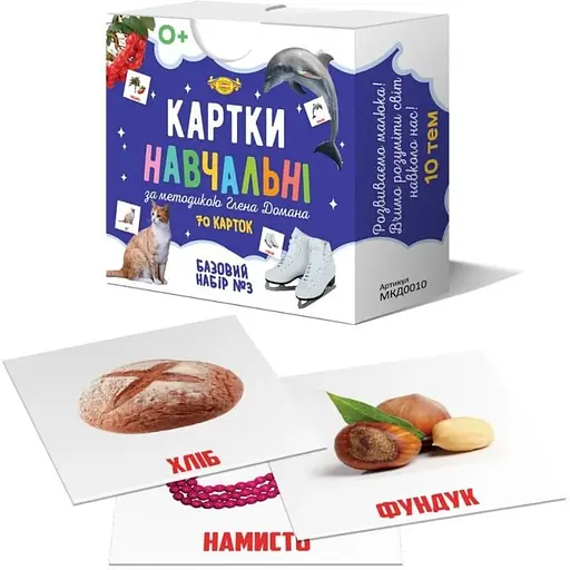 Учебные карточки Глена Домана №3 Мастер MKD0010 рус - фото 1