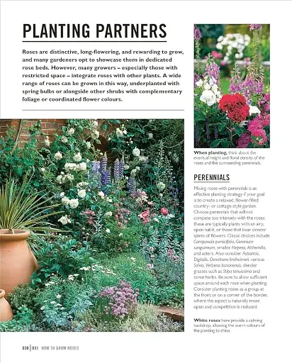 Grow Roses. Essential Know-how and Expert Advice for Gardening Success - фото 7