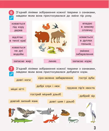 Я досліджую світ. 3 клас. Робочий зошит до підручника Н. Бібік, Г. Бондарчук. У 2 частинах. Частина 2. Оновлене видання - фото 4
