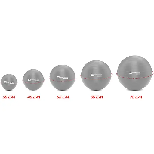 Фитбол Hop-Sport 65см серебристый + насос 2020 - фото 5