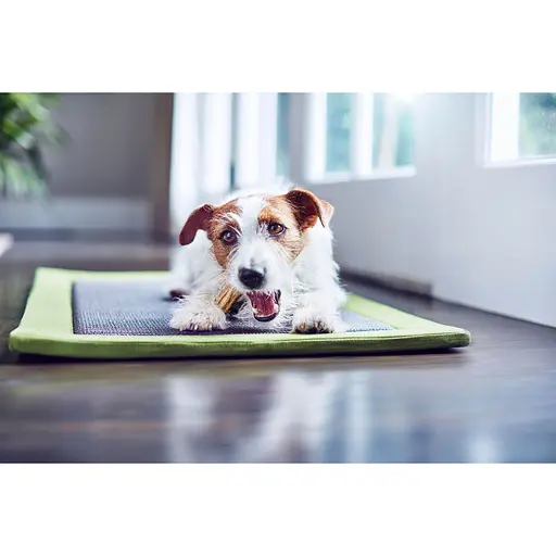 Лакомство для собак малых пород DentaLife для здоровья зубов и десен 115 г - фото 12