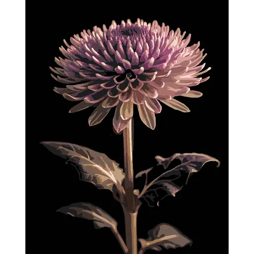 Картина по номерам Strateg Джорджина на черном фоне 40 х 50 см (AH1291) - фото 1