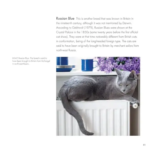 The British Museum Book of Cats - фото 5