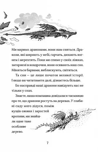Хлопчик, який марив драконами - фото 5