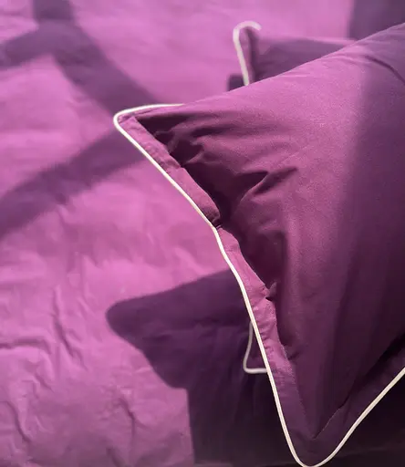 Комплект постільної білизни сімейний 2 х 155х215 см см варена бавовна White Dream Слива (2010/3) - фото 2