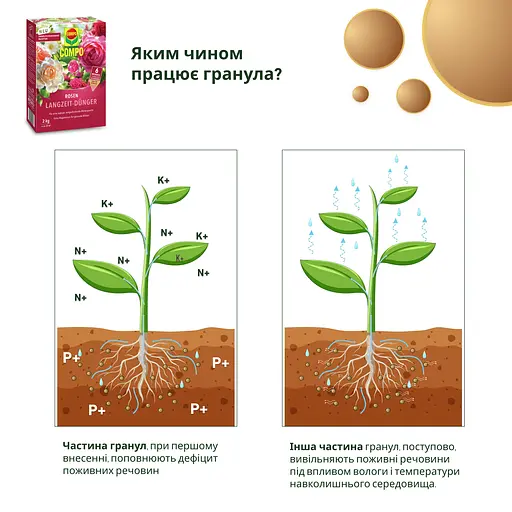 Тверде добриво тривалої дії для троянд COMPO 2 кг - фото 9