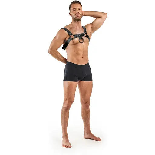 Портупея Bedroom Fantasies Bruno Chest Bulldog Harness - Black - фото 4