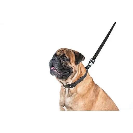 Поводок "Эволютор" (ширина 25 мм длина 210 см) черный - фото 5