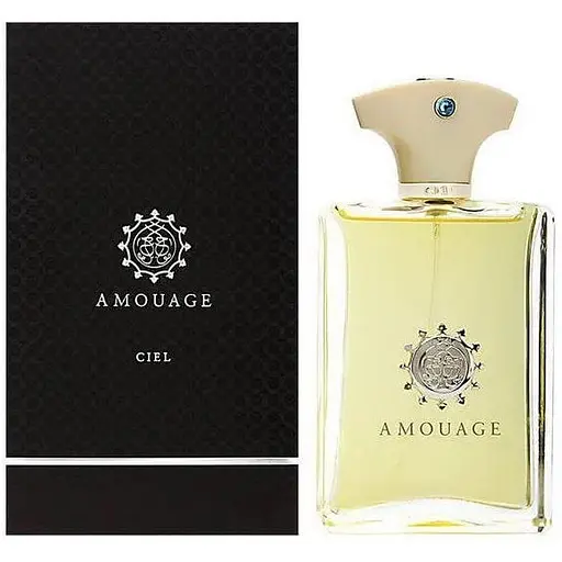 Парфумована вода Amouage Ciel Pour Homme 100 мл - фото 1