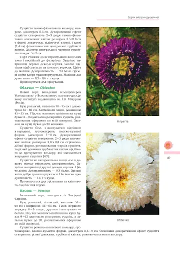 Айстри. Біологічні особливості. Вирощування. Використання. Сорти - фото 5