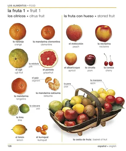 Spanish-English Visual Bilingual Dictionary with Free Audio APP - фото 7