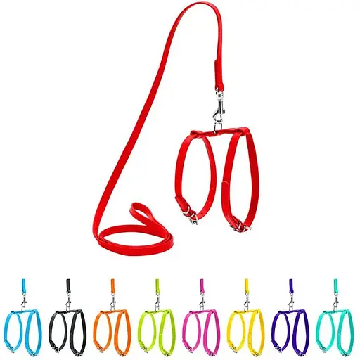 Шлея з повідцем для собак Waudog Glamour шкіряна з QR паспортом, червоний - фото 3