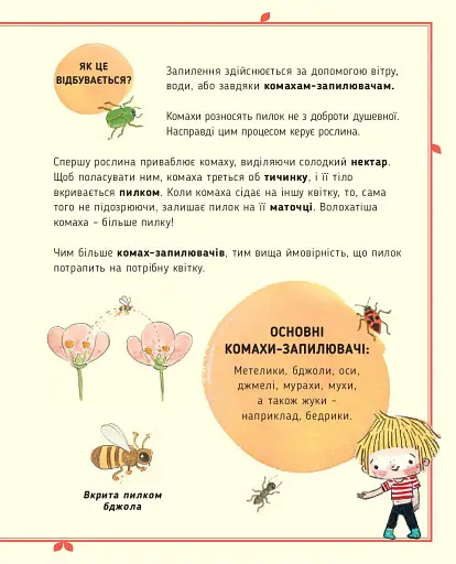 Сад Базиліка. Чи закохуються квіти? - фото 13