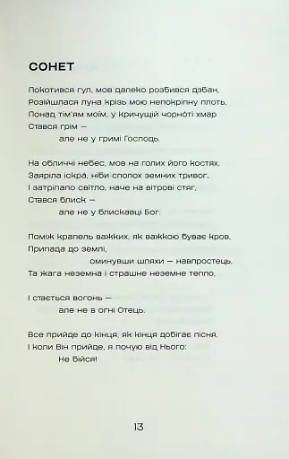 Жерстяні сурмачі - фото 13