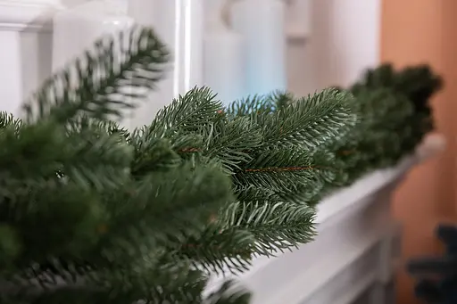 Штучна хвойна гірлянда LUGI 1 м зелена, новорічна гірлянда лита реалістична Преміум TD-BRNCHGR1 - фото 4