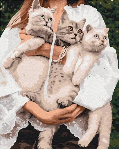 Картина за номерами на підрамнику Brushme Улюблені муркотики