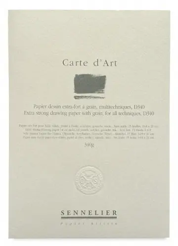 Альбом-склейка мультитехника Sennelier Carte d'art, 15 листов, 340 г/м, 14,8x21 см - фото 2