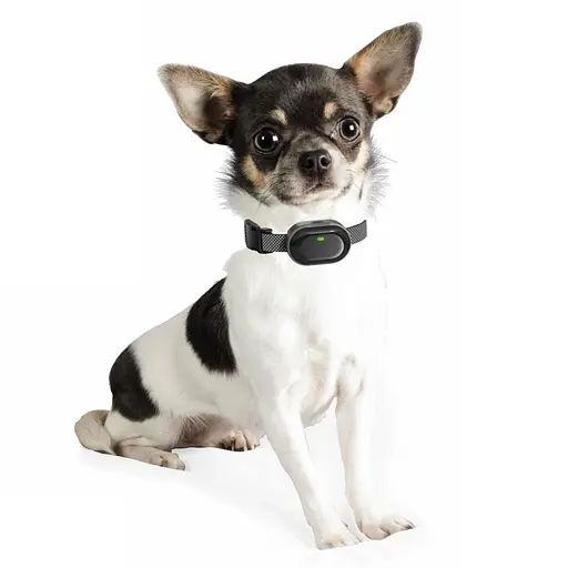 Електронний нашийник для маленьких собак дресирувальний з трьома видами впливу DOBE DB900X (101051) - фото 5