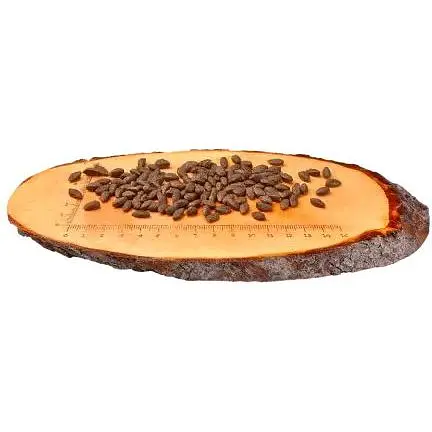 Сухой корм Carnilove Cat Sensitive & Long Hair для кошек с чувствительным пищеварением лосось 2 кг - фото 2