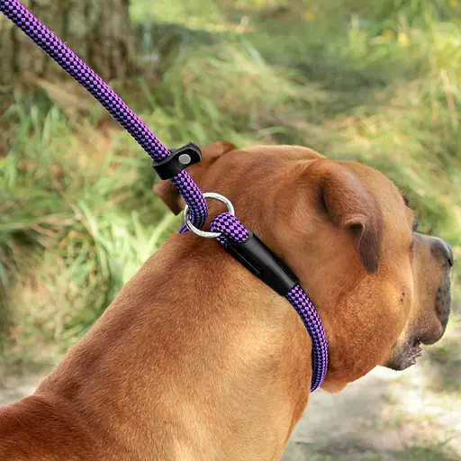 Поводок-удавка для собак Barksi Active (длина 183 см диаметр 12 мм) шахматы черно-фиолетовый - фото 8