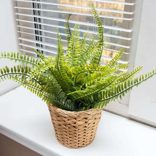 Торфосуміш COMPO SANA® для зелених рослин і пальм 10 л - фото 12