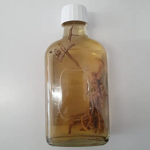 Настоянка на корінні стальник 200 мл - фото 2