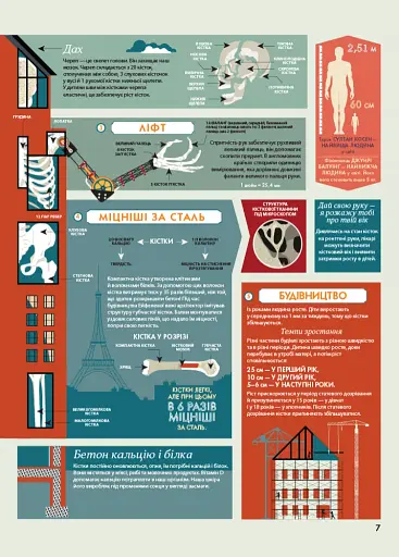 Крутезна інфографіка : Анатомія - фото 7