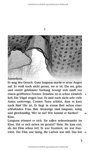 Schone Augen. Carsten Tsara ist verliebt. Buch B1 - фото 2