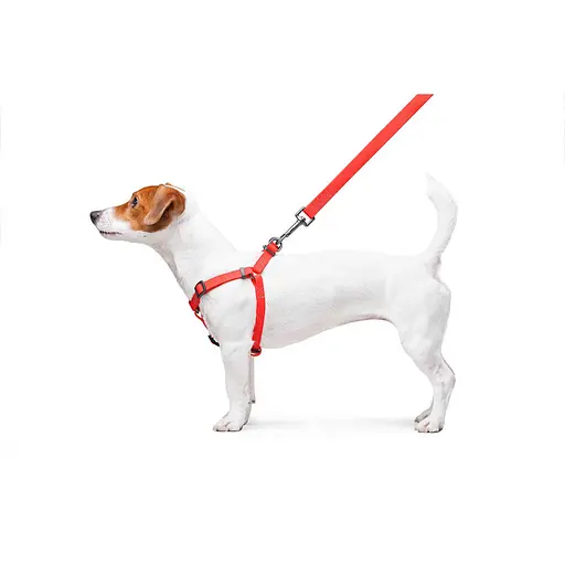 Шлея для собак водостійка Waudog Waterproof з QR-паспортом металічна пряжка-фастекс Ш 15 мм Д 40-55 см червоний - фото 8