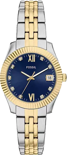 Часы Fossil Scarlette ES5443