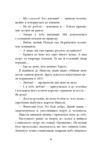 Заборонений. Історія життя і боротьби Василя Стуса - фото 4