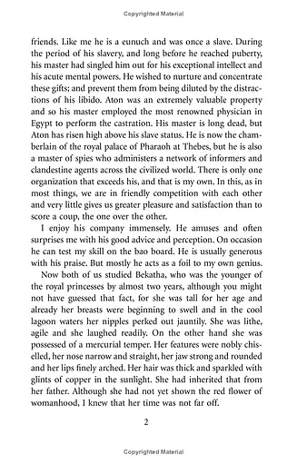 Desert God. Ancient Egypt Book 5 - фото 7