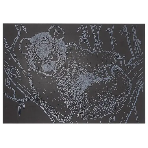 Гравюра А5 "Панда" ГрА5с-21 эконом вариант в пакете 21 х 14,8 см