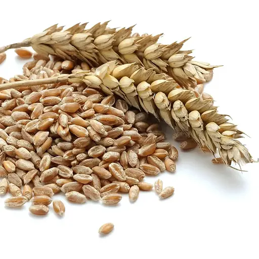 Пшеница твердых сортов Augason Farms с большим сроком годности до 30 лет 236 порций - фото 5