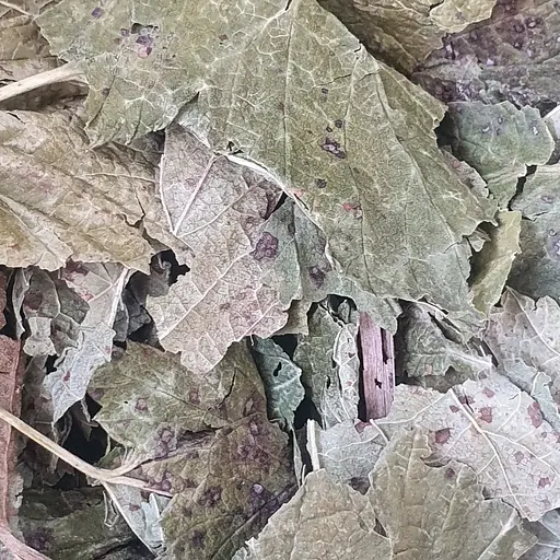 100 г смородина чорна лист сушений - свіжий урожай