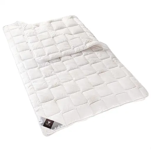 Ковдра Ideia 4 Сезона зима-літо Антиалергенне волокно Дві ковдри троянда 155х210см (8-9503*002)