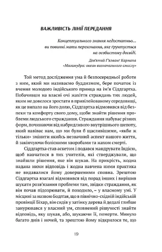 Жити в радість: секрет щастя з погляду буддизму та науки - фото 9