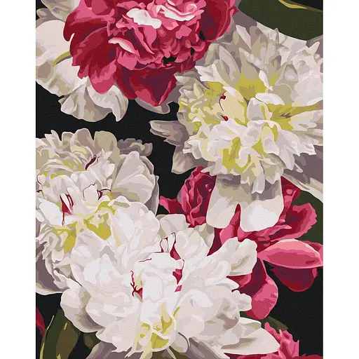 Картина по номерам на подрамнике Brushme В тени света Анастасия Алехина