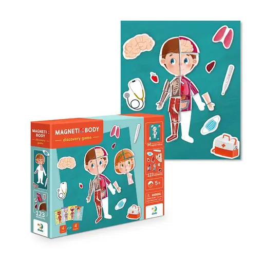 Розвиваюча магнітна гра "Людське тіло" DoDo 200220 - фото 2