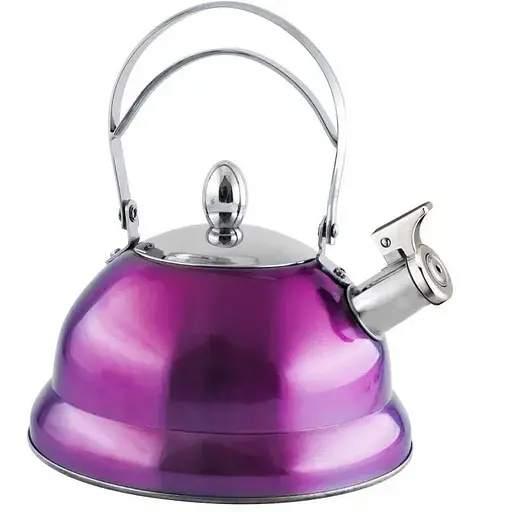 Чайник зі свистком фіолетовий NS11KET