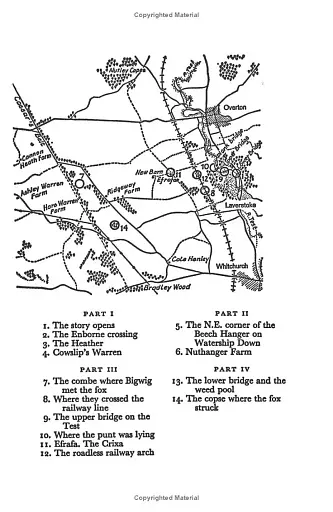 Watership Down - фото 9