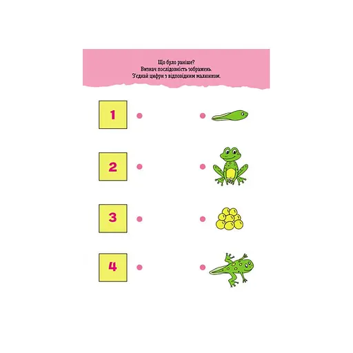 Розвиваючий зошит ДжоIQ "Веселі доріжки" 939023 візьми з собою в дорогу - фото 3