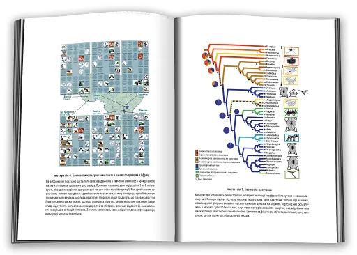 Величний задум. Еволюційні джерела цивілізованого суспільства - фото 6