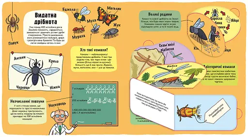 Маленькі дослідники. Комашки - фото 4