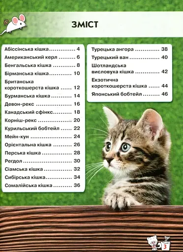 Світ навколо нас. Кішки - фото 2
