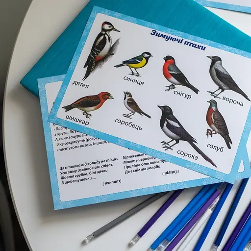 Дидактичний матеріал "Зимові спостереження" 13107147, 16 карток - фото 7