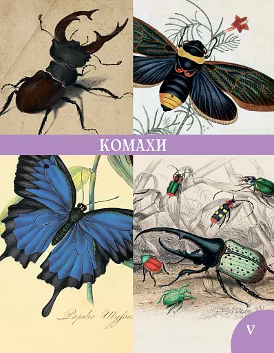 Розповіді про тварин та їх назви - фото 9