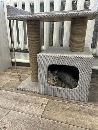Домик когтеточка с лежанкой для кота 65*55*35 см Мокко - фото 2