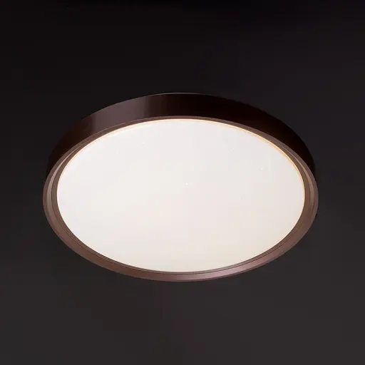 Светильник настенный-потолочный для ванной Brille W-629/20W NW - фото 2