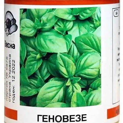 Базилік Весна Зелений (Геневезе) (у банці) 100г (46966) - фото 1